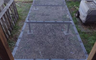 Custom Handicap Ramp